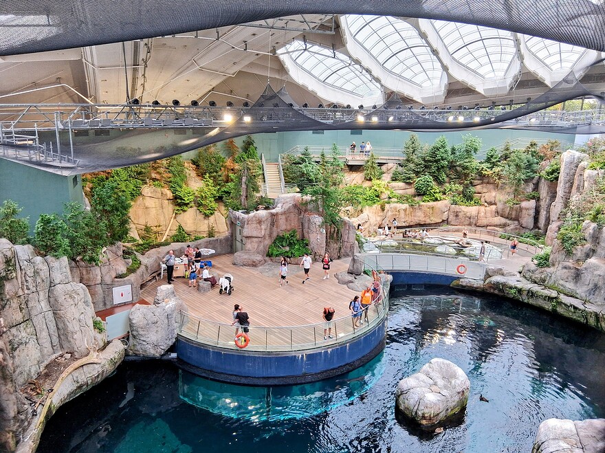 20250711_134702-EDIT