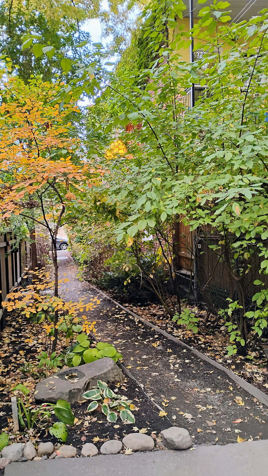 IMG_20251024_164325208_HDR_AE