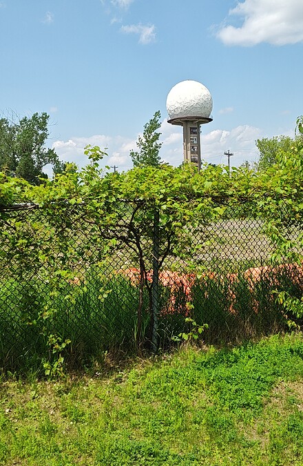 64a617a1-c182-4d7d-9b26-67d6a5726940~1