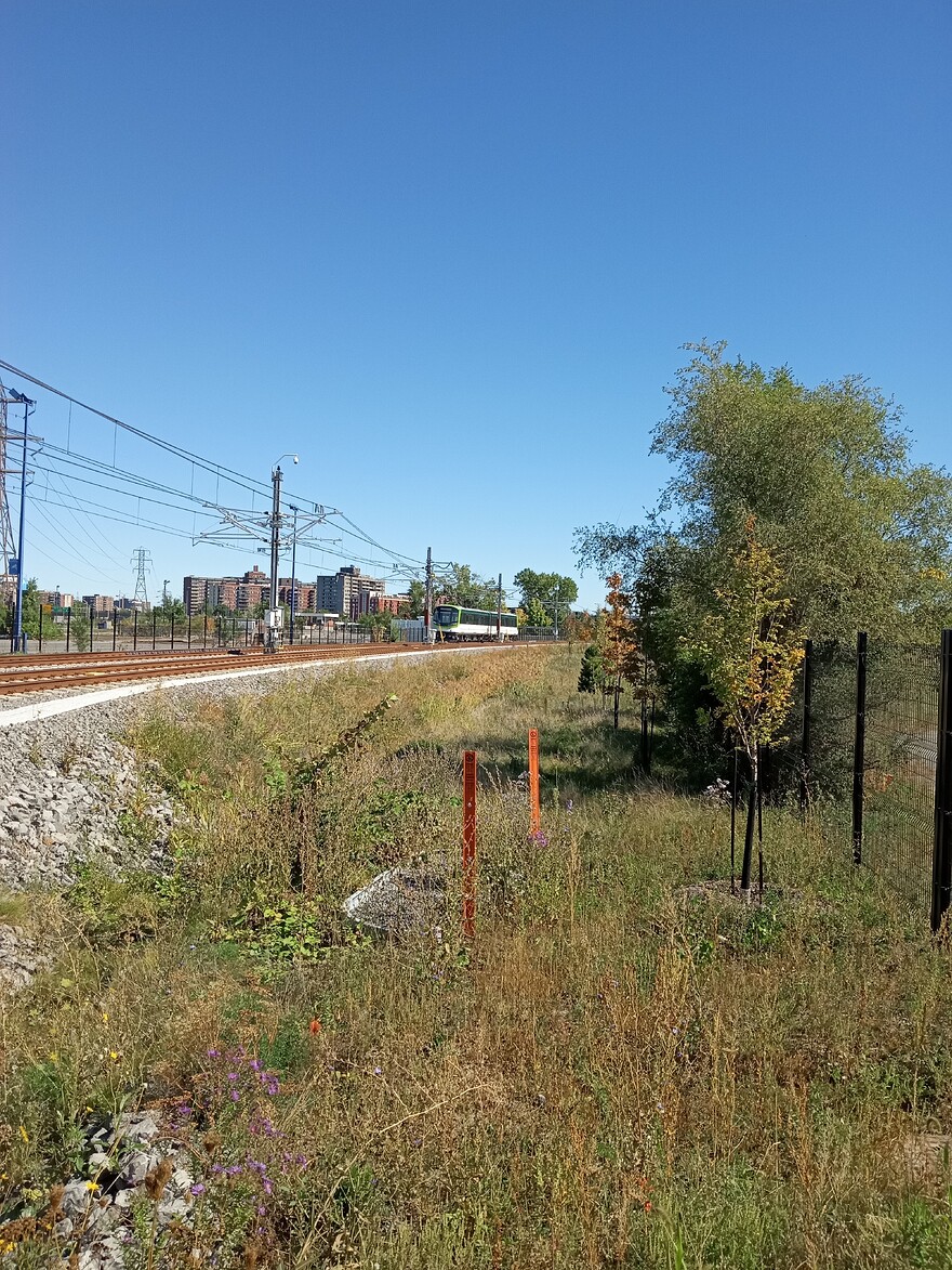 IMG_20250920_130806444