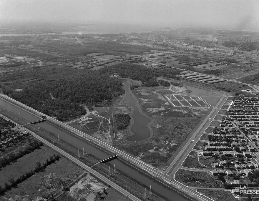 06M_P833S5D1961-0008_0004