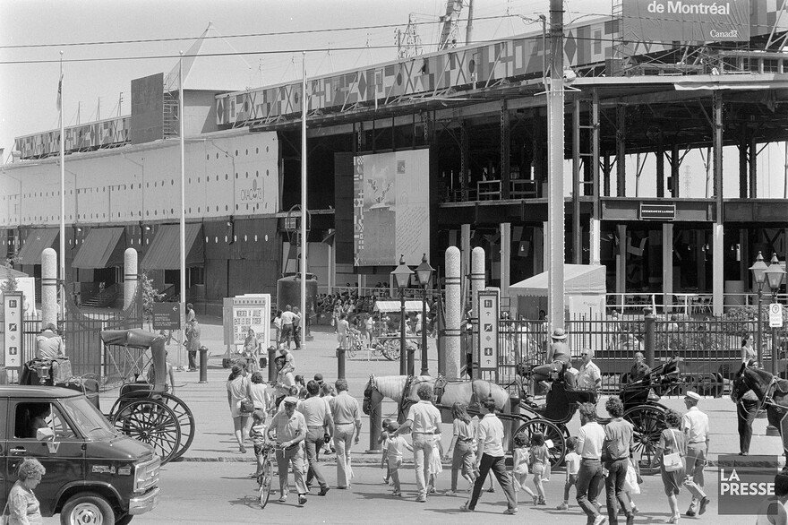 06M_P833S5D1982-0265_012