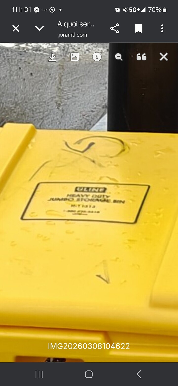 Screenshot_20260308_110126_Chrome