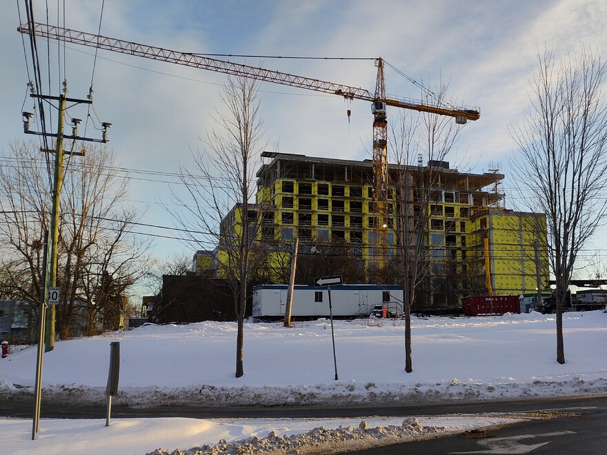 IMG_20251212_153358440_BURST0021