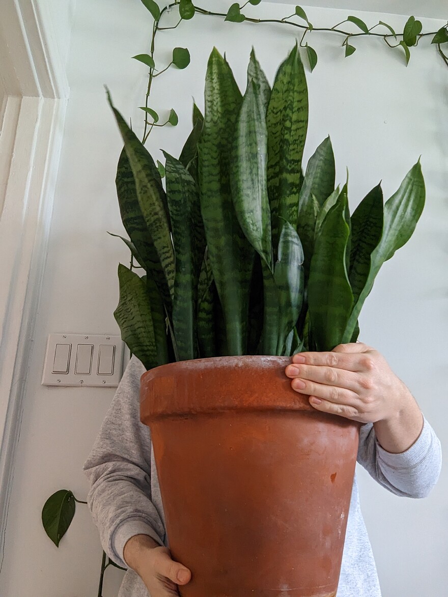 AGC_20260411_211411414