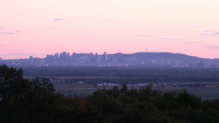 DSCF4972