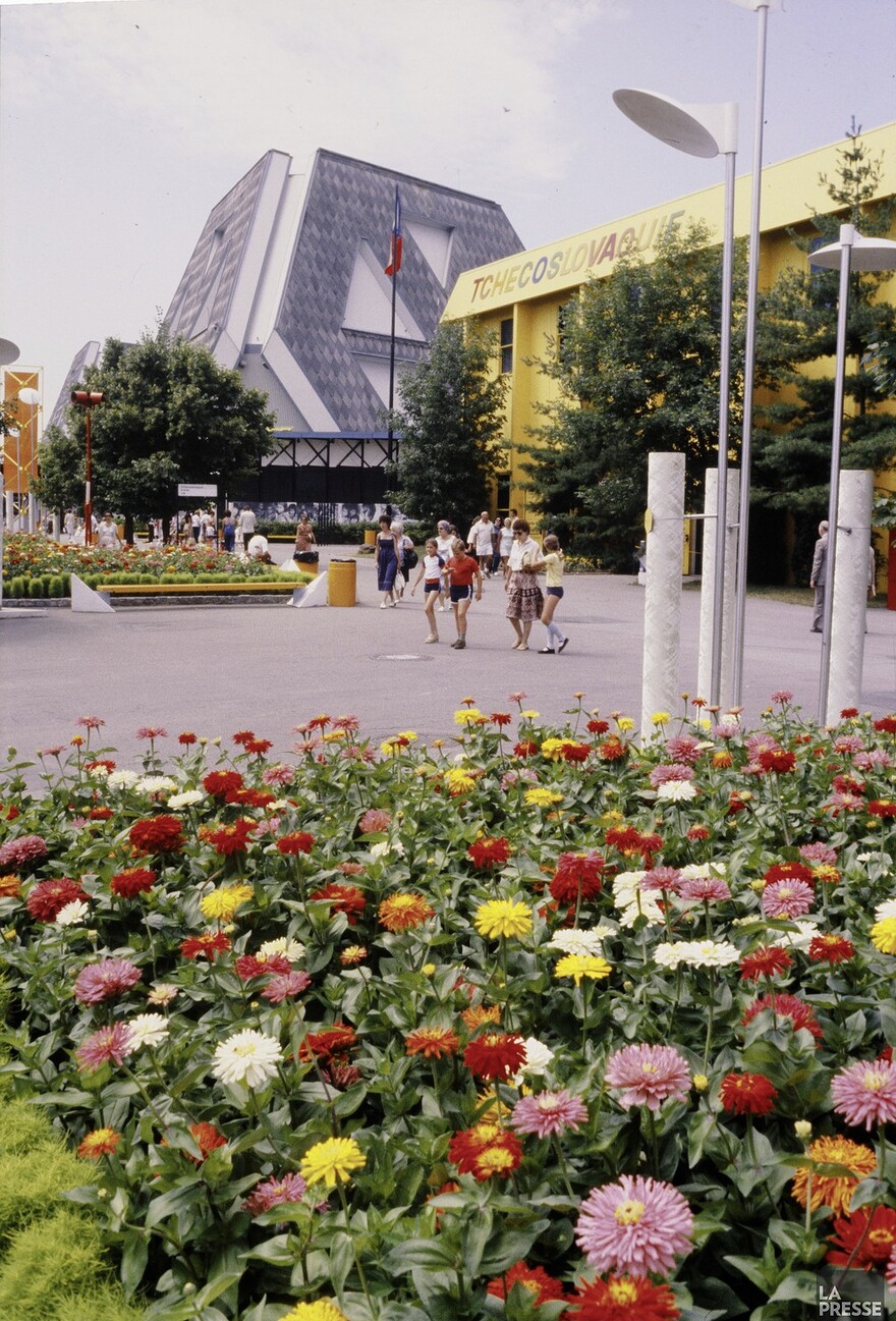 06M_P833S5D1979-0308_034