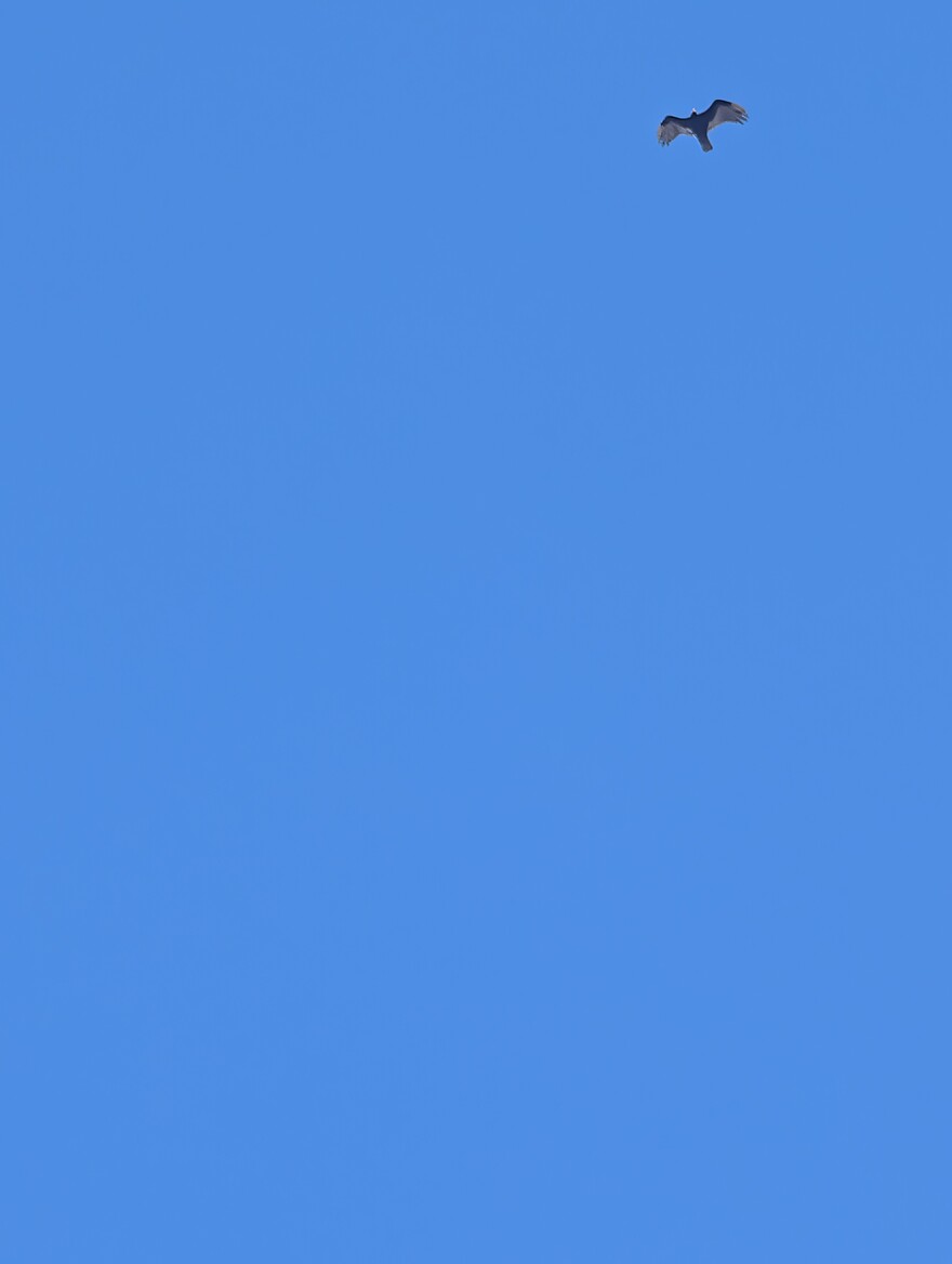 PXL_20260716_195636927