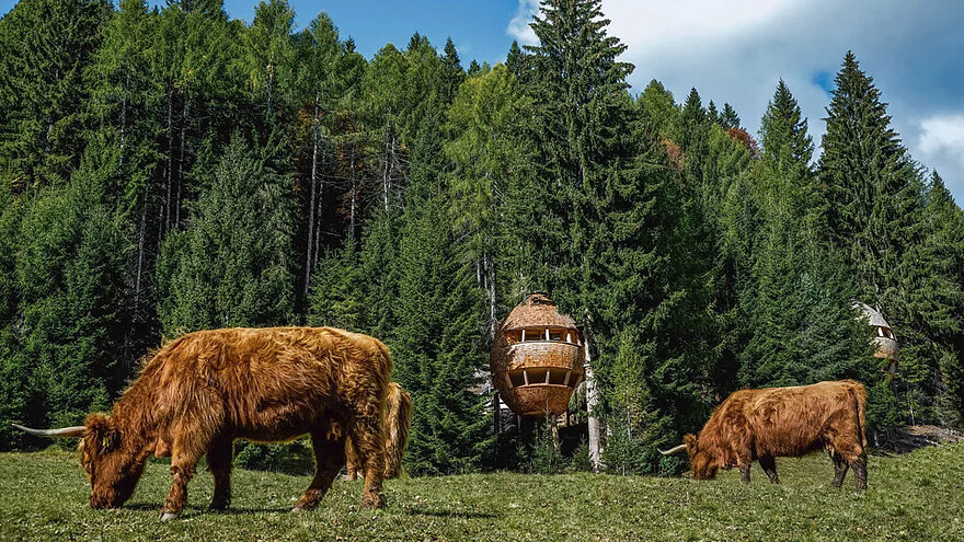 Pigna by Beltrame Studio – Malborghetto, Italy (2017) (Credit: Massimo Crivellari)880x495