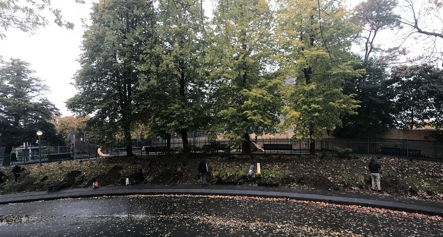 Parc Saint-Viateur