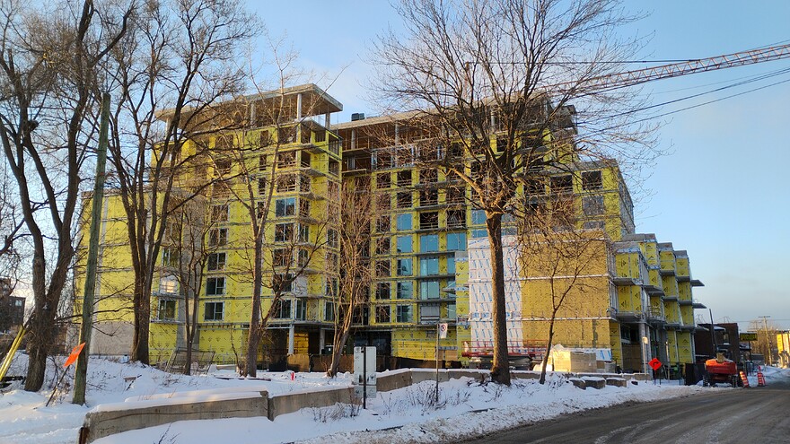 IMG_20251212_153757556_BURST000_COVER1