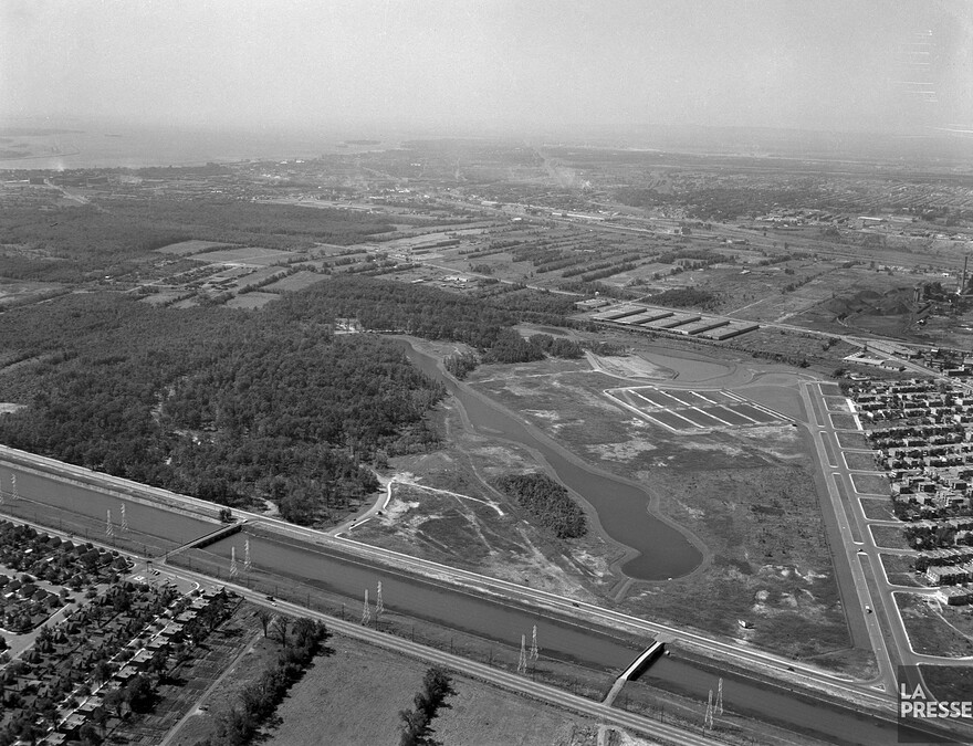 06M_P833S5D1961-0008_0005