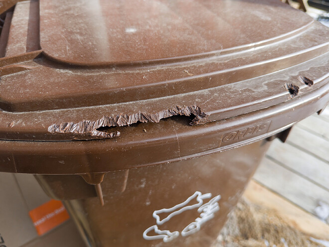 IDG_20260121_113754_203