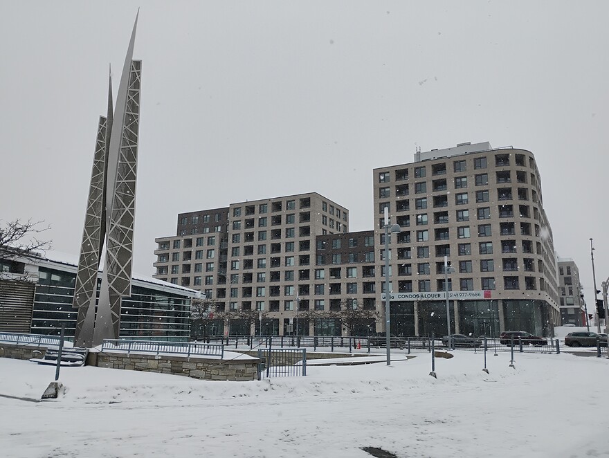 IMG_20260225_122122721