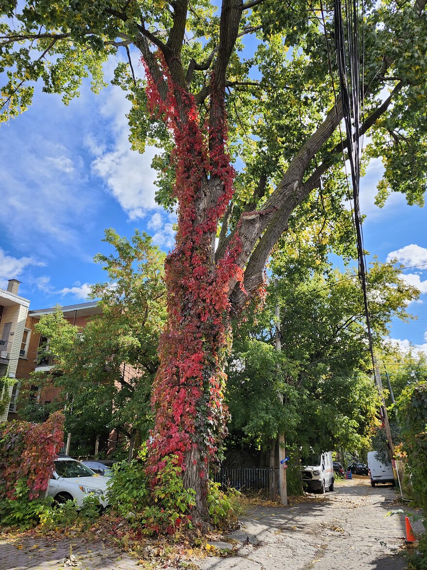 20261005_105838