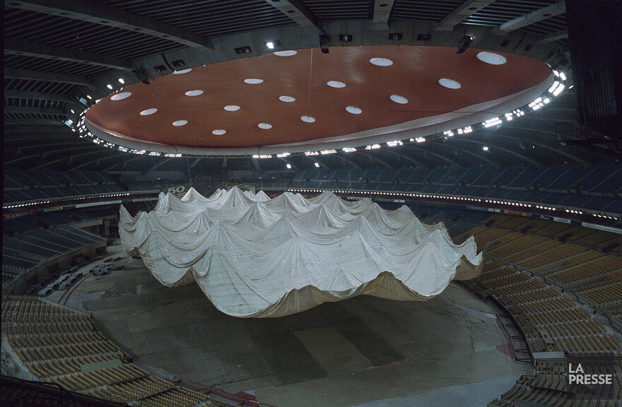 06M_P833S5D1988-0570_009