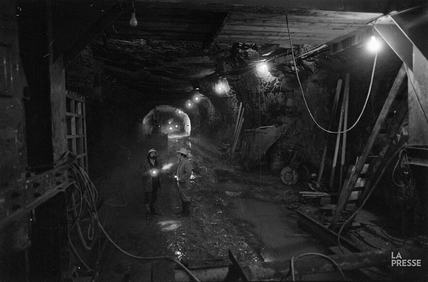 06M_P833S5D1977-0010_002