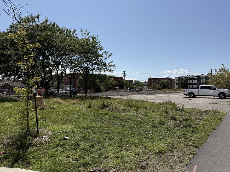 IMG_2721