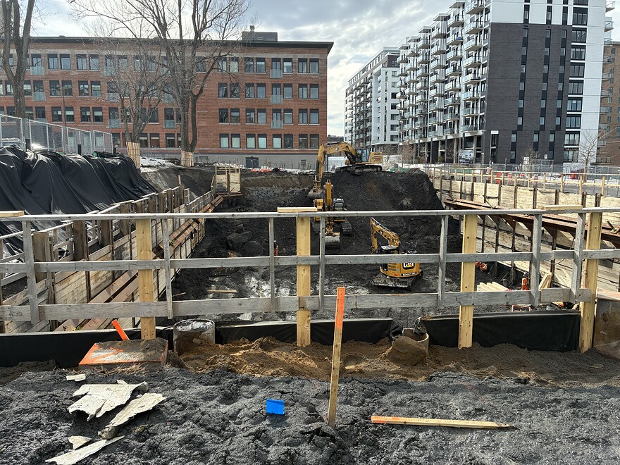 Dans la Cité Verte
