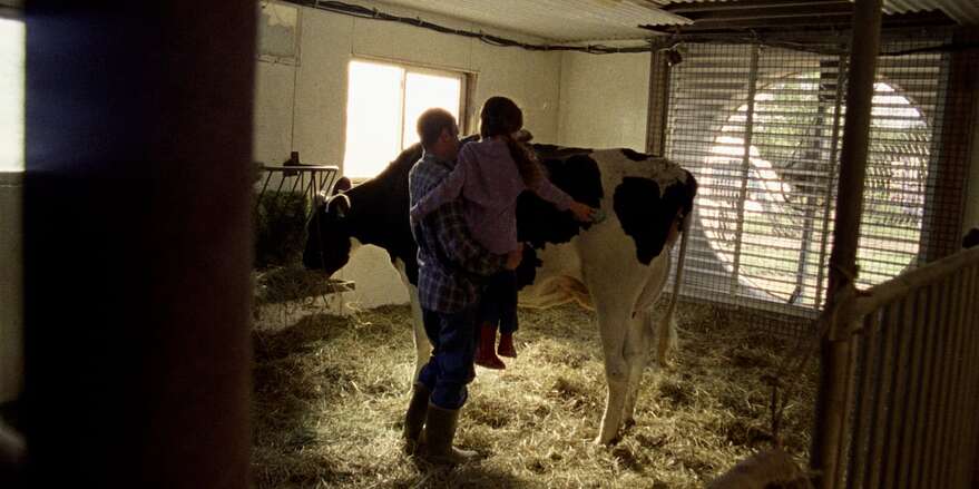 En mettant en scène un père (Alexis Lefebvre) et sa fille inséparables, la publicité millionnaire de la Famille du lait rappelle que la famille occupe toujours le haut du pavé dans les campagnes québécoises.