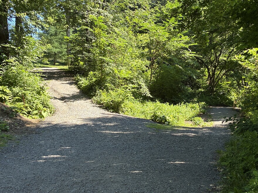 Le sentier remonte vers les Plaines et le site du FEQ près de la citadelle