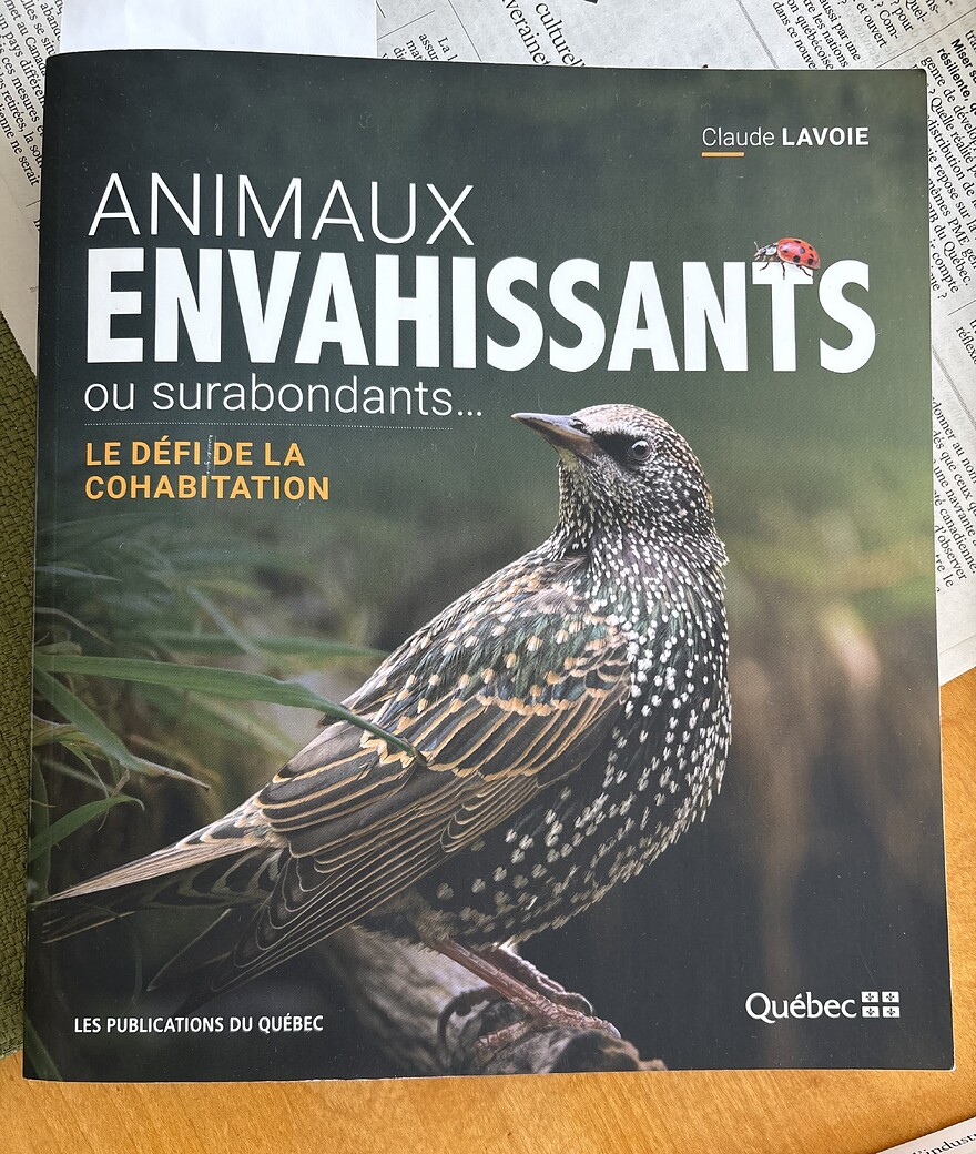 Faune urbaine