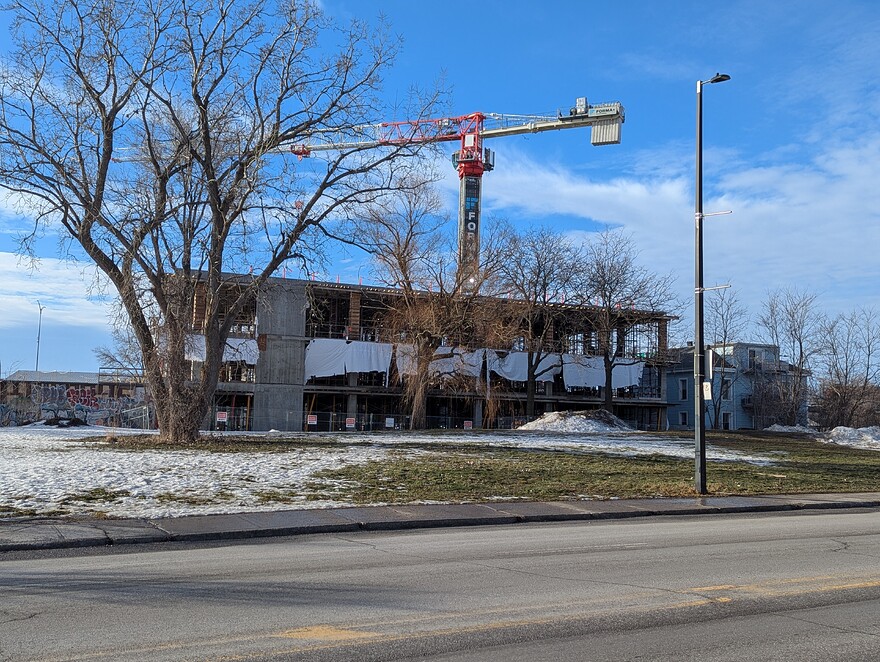 PXL_20260309_130501647.PORTRAIT.ORIGINAL