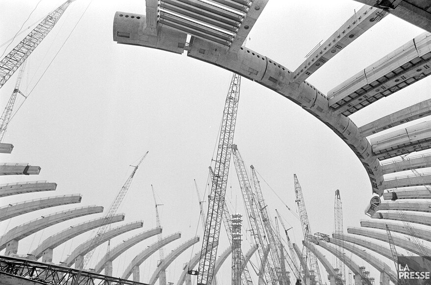 06M_P833S5D1975-0548_0017
