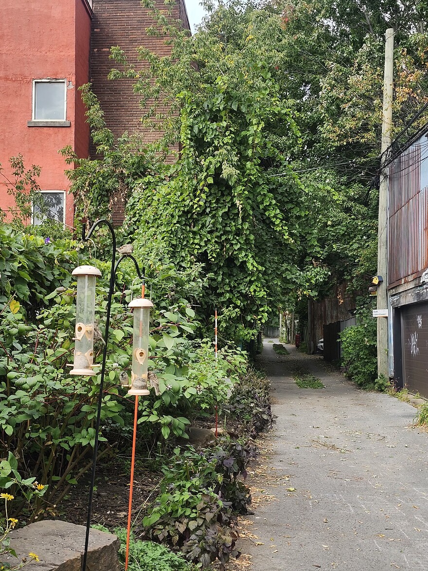 20260928_105819