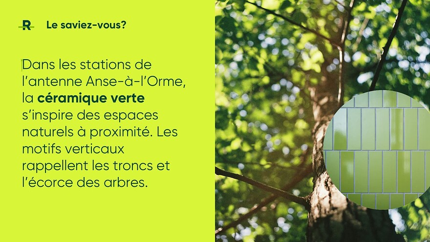 FB_IMG_1774966157488