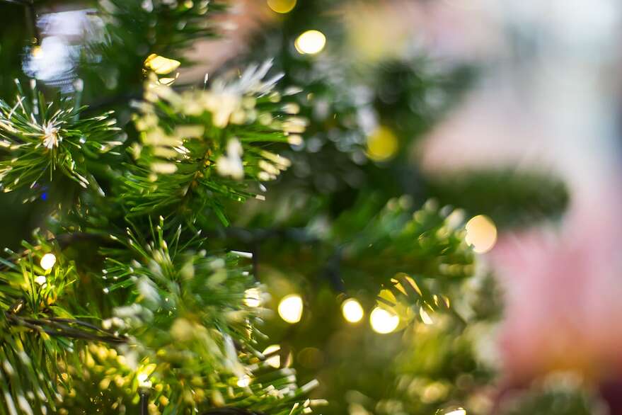 À cet égard, notons à titre illustratif qu’Hydro-Québec «ne constate plus d’impact des décorations de Noël sur la consommation depuis qu’elles sont aux DEL», m’a indiqué un de ses porte-paroles, Cendrix Bouchard.