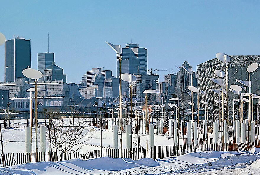 FB_IMG_1768016273401