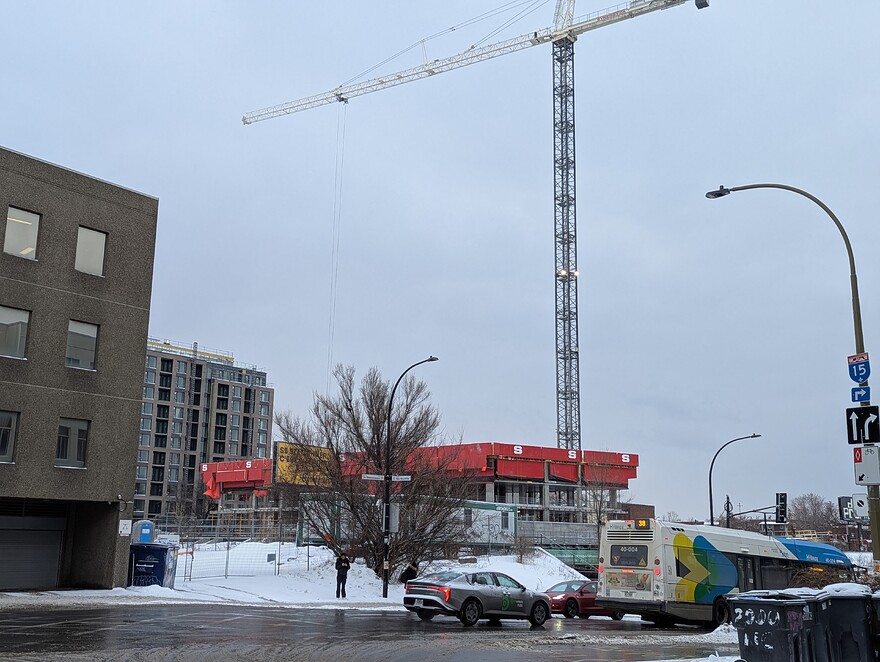 PXL_20260122_131050076.PORTRAIT.ORIGINAL