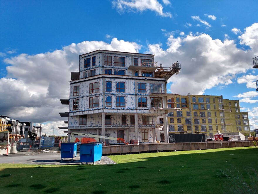 IMG_20261008_143501438_HDR (1)