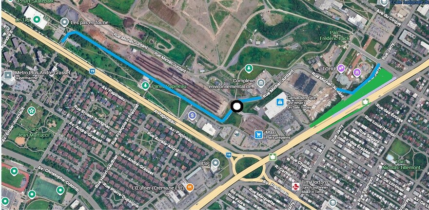 493 Jarry 1
