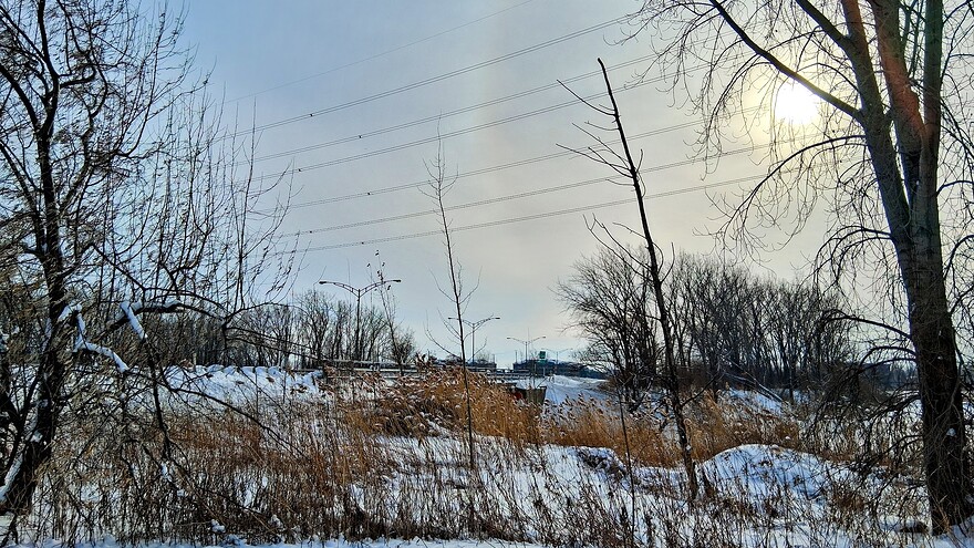 20260128_142159-EDIT