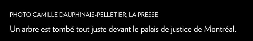 Screenshot_20260702_223834_La Presse