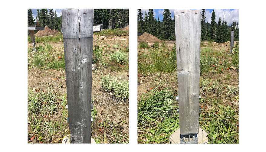 Ce montage expérimental à la Forêt Montmorency a permis de voir la différence entre deux poutres de bois après quatre ans d'exposition aux intempéries. Celle de gauche n'a pas été traitée et celle de droite a reçu le traitement mis au point à l'Université Laval.