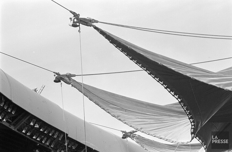 06M_P833S5D1987-0133_001