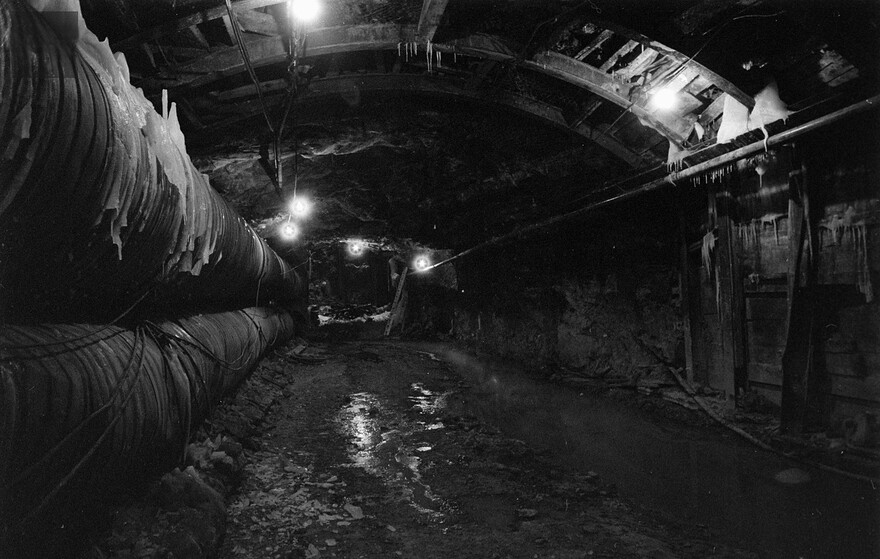 06M_P833S5D1977-0010_003