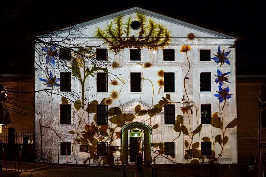 L'artiste Anne-Marie Bouchard a participé à la création de l'œuvre <em>Illuminé</em>, projetée sur le Morrin Center.