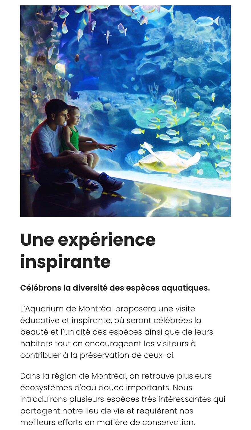 Screenshot_20260102_171207_Chrome