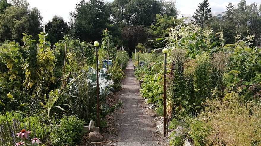 Vue du Jardin Le Tourne-Sol