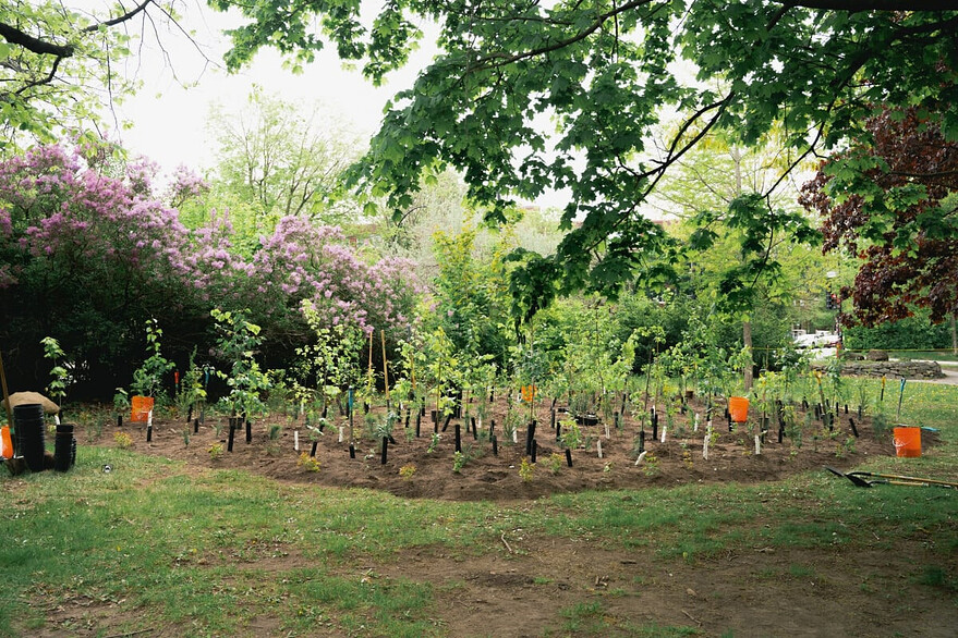 Parc Beaubien d’Outremont