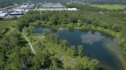 Le boisé des lacs Fauvel — PHOTO PATRICK SANFAÇON, LA PRESSE