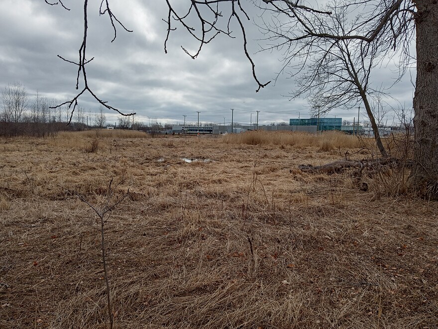 IMG_20260404_110311498_HDR