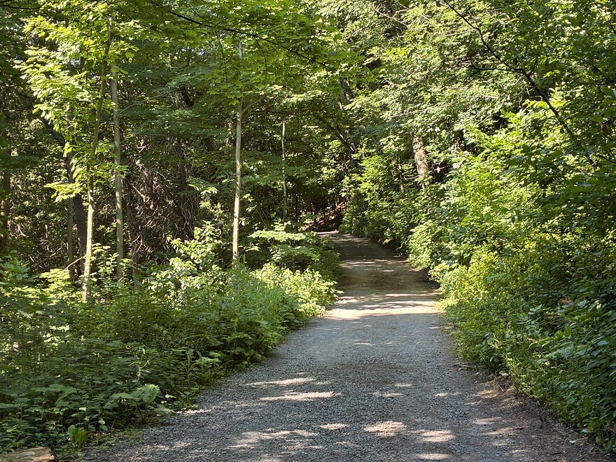 Le sentier de la nature, Plaines d'Abraham