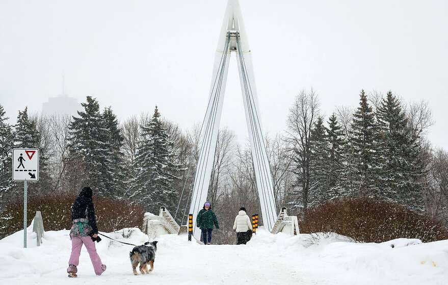 Le brun chaleureux du bois des poutres a laissé place au blanc des toiles dans le paysage depuis près d'un an.