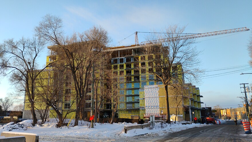 IMG_20251212_153854785_BURST000_COVER1