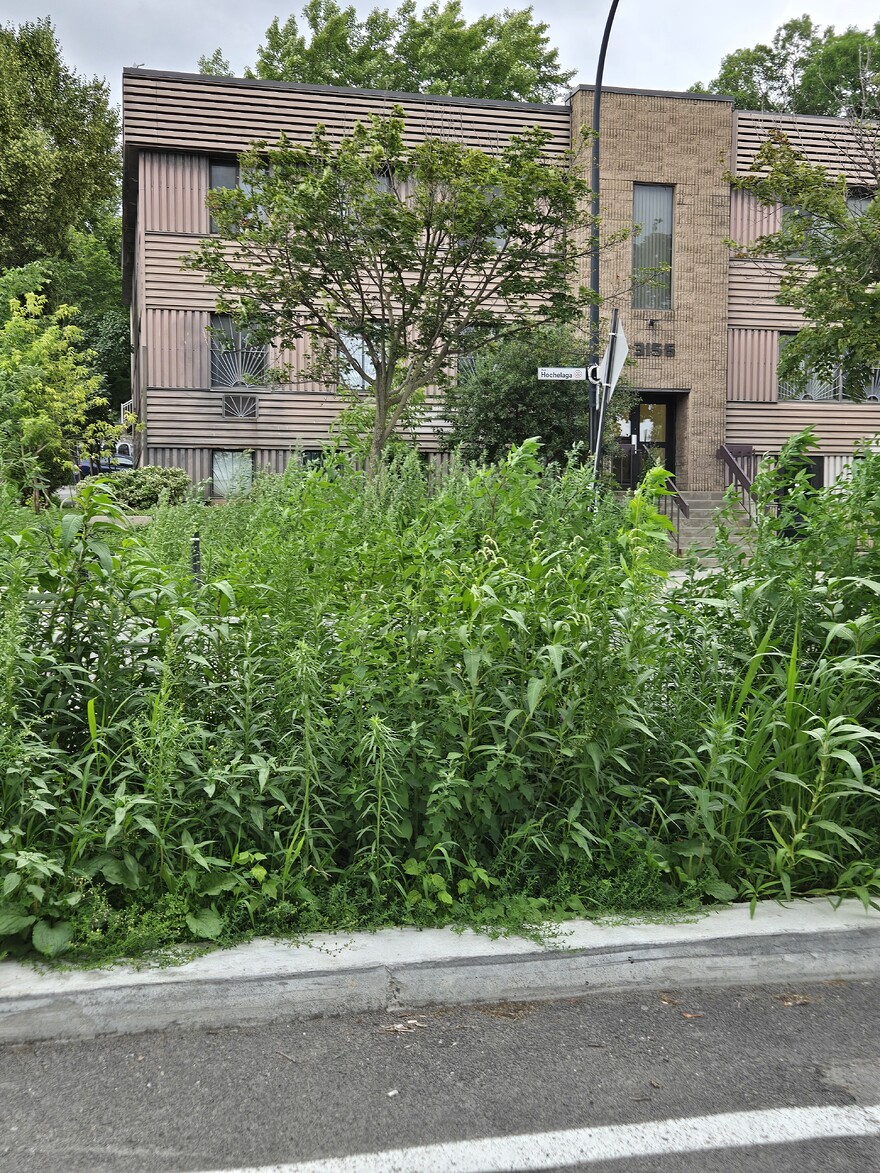 20260702_182059